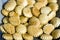 Oyster Crackers