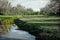 Oyster Creek Meadow and Bridge