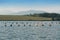 Oyster farm buoys In Corsica, France