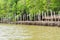 Oyster farm in mangrove forest area at Chanthaburi, Thailand. One of the best tourist attraction in Thailand