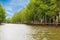 Oyster farm in mangrove forest area at Chanthaburi, Thailand. One of the best tourist attraction in Thailand