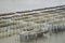 Oyster farm in sea Abstract background