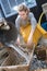 Oyster farmer cleans produce bassin darcachon region france