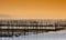 Oyster farming on the coast of cap ferret