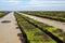 Oyster farming on Jersey, UK