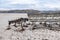 Oyster farming and oyster traps, floating mesh bags by Carrickfinn in County Donegal, Ireland