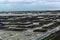 Oyster farms in France