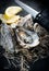 Oyster. Fresh oysters with knife closeup. Oysters on dark slate background. Gourmet food