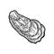 Oyster isolated on white background. Vintage black vector engraving
