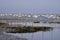 Oyster park of Cap-Ferret in France