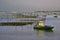 Oyster park of Cap-Ferret in France