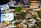 Oyster pile for sale at the market