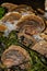 Oyster pile for sale at the market