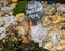 Oyster pile for sale at the market