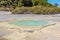 oyster pool at Wai-O-Tapu in New Zealand