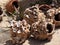 Oyster Pots On Ilha Da Culatra Portugal