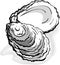 Oyster seafood shell single isolated element - illustration