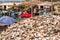 Oyster shells close-up, Leucate, France. Close-up.