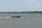 Oyster transport boat in Marennes d`oleron France