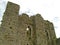 Oystermouth Castle 02