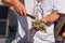 Oysters being served raw on the western coast of the Baja peninsula