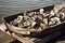 Oysters on the counter in wooden crates in the market. Fresh oysters selective focus. closeup. Generative AI