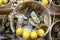 Oysters and lemons in the food market