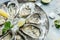 Oysters platter with lemon, lime and ice. Healthy food, gourmet food. Oyster dinner in restaurant