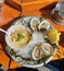 Oysters and scallop ceviche at a farmer's market seafood bar