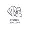 Oysters, scallops line icon, outline sign, linear symbol, vector, flat illustration
