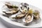 Oysters served on the oval minimalistic plate in a luxury restaurant, closeup. Generative AI