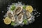 Oysters served on stone plate with ice drift