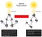 Ozone formation destruction naturally from UV light infographic diagram chemistry science