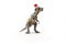 Pachycephalosaurus  Dinosaur with Christmas hat on white background