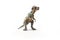 Pachycephalosaurus Dinosaur on white background