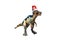 Pachycephalosaurus Dinosaur on white background