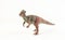 Pachycephalosaurus, dinosaur on white background