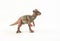 Pachycephalosaurus, dinosaur on white background