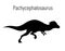 Pachycephalosaurus. Ornithischian dinosaur. Monochrome vector illustration of silhouette of prehistoric creature