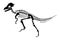 Pachycephalosaurus skeleton . Silhouette dinosaurs . Side view . Vector