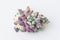 Pachyveria scheideckeri variegated albo-carinata succulent flower rosette closeup on white background