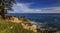 Pacific coast cypress tree and ocean waves crashing on the cliffs of a rugged Northern California coastline in Monterey