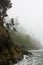 Pacific Coast rocky rugged shoreline in misty fog