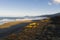 Pacific Coastline near Ophir Oregon with dunes and beach.