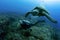 A Pacific Green Sea Turtle with a diver at Darwin Arch, Galapagos