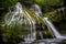 Pacific northwest waterfall in temperate rainforest lush landscape
