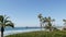 Pacific ocean beach, palm tree and pier. Tropical waterfront resort near Los Angeles California USA.