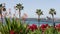 Pacific ocean beach, palm tree and pier. Tropical waterfront resort near Los Angeles California USA.