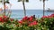 Pacific ocean beach, palm tree and pier. Tropical waterfront resort near Los Angeles California USA.