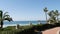 Pacific ocean beach, palm tree and pier. Tropical waterfront resort near Los Angeles California USA.